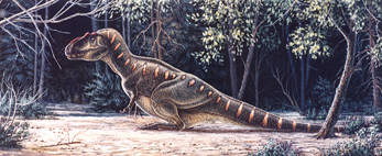 Daspletosaurus