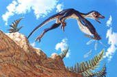 Sinornithosaurus