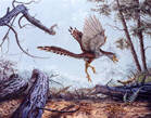 Archaeopteryx