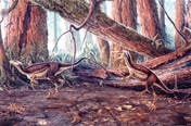 Sinosauropteryx painting