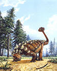 Euoplocephalus