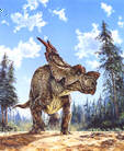 Achelousaurus 