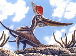 Pteranodon sternbergi