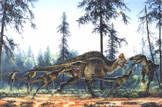 Albertosaurus pack hunting