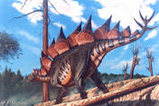 Stegosaurus 