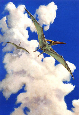 Pteranodon ingens