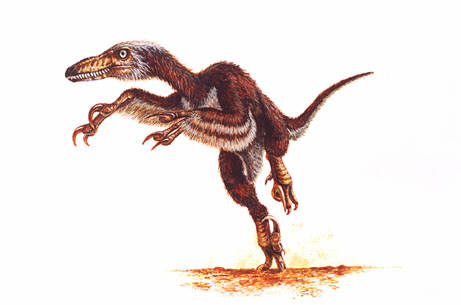 http://www.dinosaursinart.com/velociraptor/IMAG0009.JPG